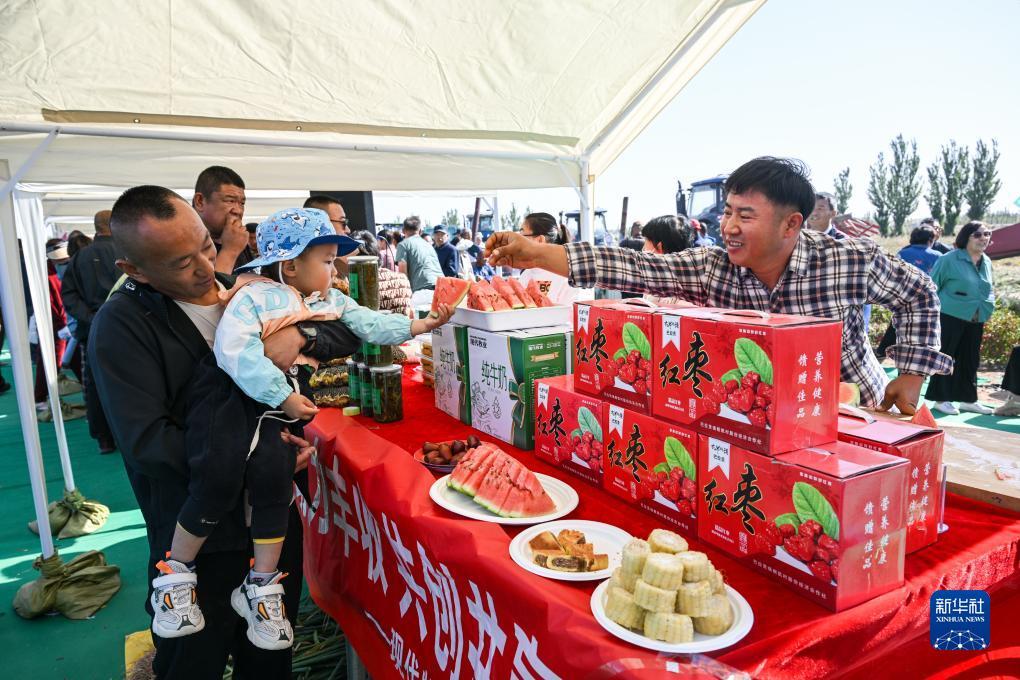 爽8注册官方网